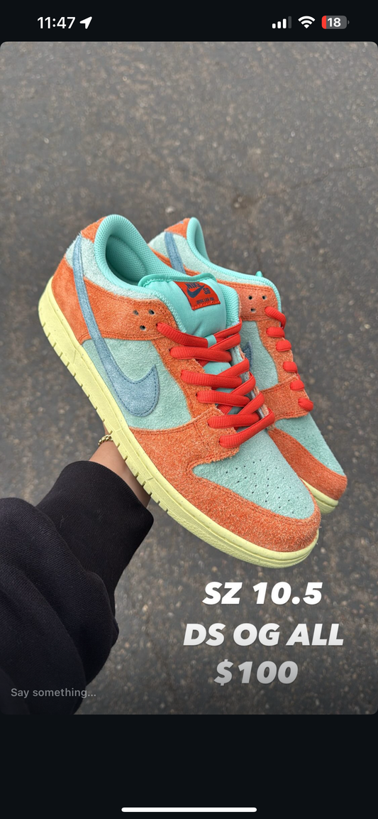 (2) Nike SB Dunk Low Emerald Rise SZ 10.5+ Nike SB Dunk Low Chameleon SZ 10.5