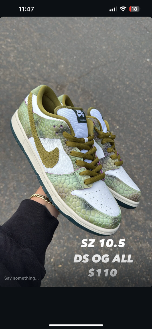 (2) Nike SB Dunk Low Emerald Rise SZ 10.5+ Nike SB Dunk Low Chameleon SZ 10.5