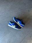 Nike SB Low Deep Royal