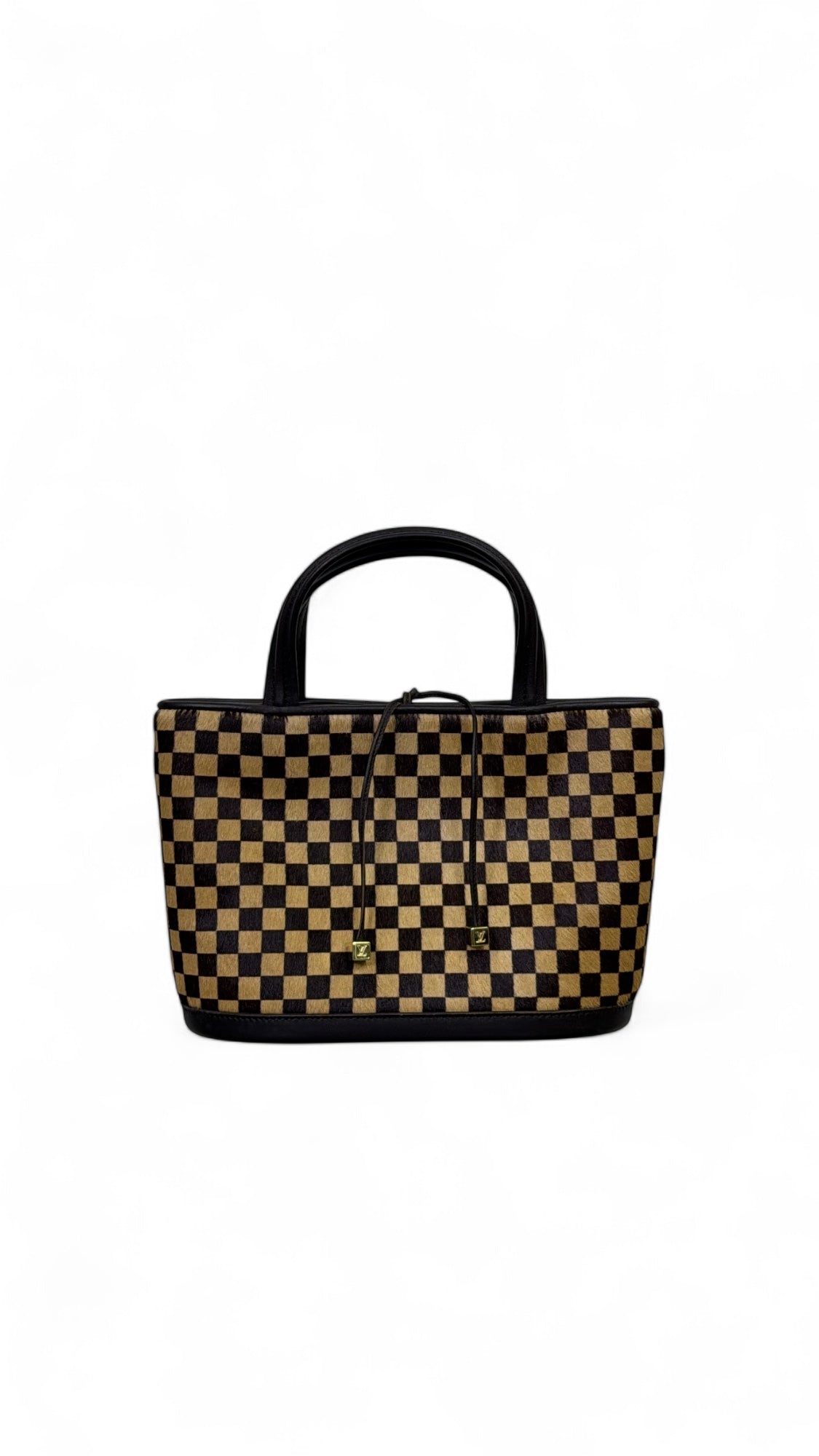 Louis Vuitton Pony Hair Bag